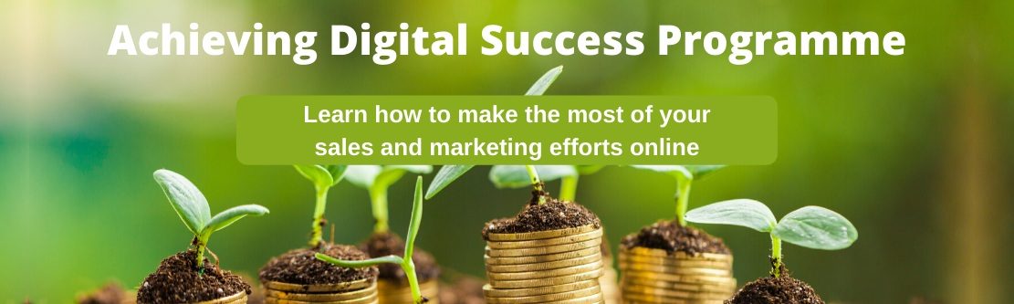 Achieving digital success programme