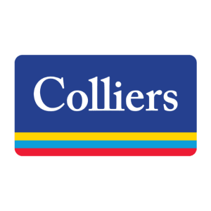 Cross Border Marketing 3
