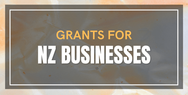 Markeitng Minds NZ Grants for Business Website Homepage Banner